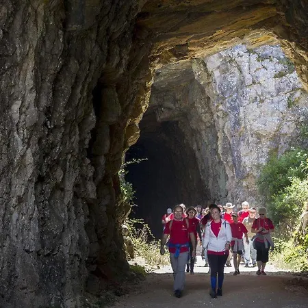 Sitio Terra Do Loureiro Porto de Mós